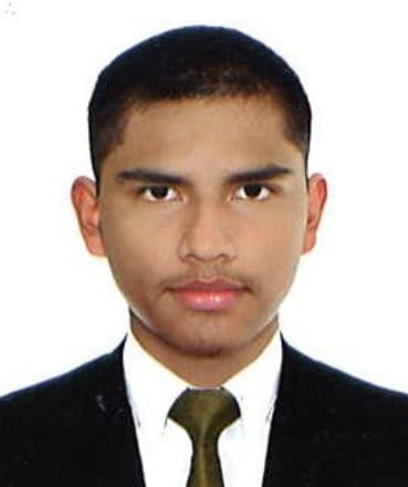 Hector Henrique Perez Vengoa